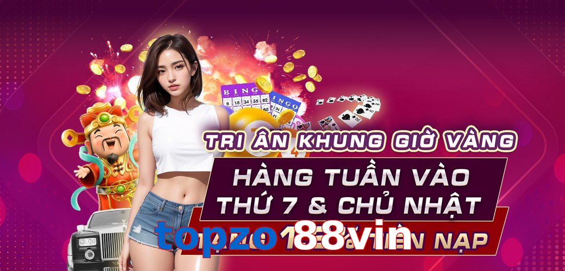 topzo 88vin