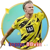 topzo 88vin