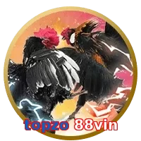topzo 88vin