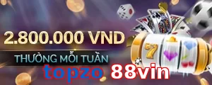 topzo 88vin