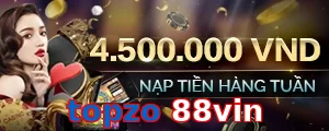 topzo 88vin