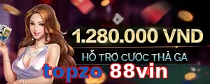 topzo 88vin
