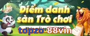 topzo 88vin