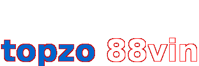 topzo 88vin