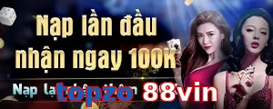topzo 88vin