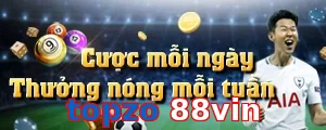 topzo 88vin