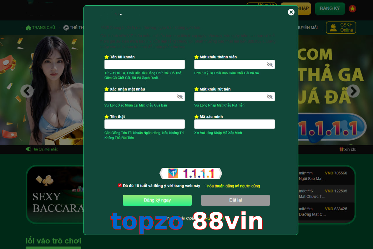 topzo 88vin